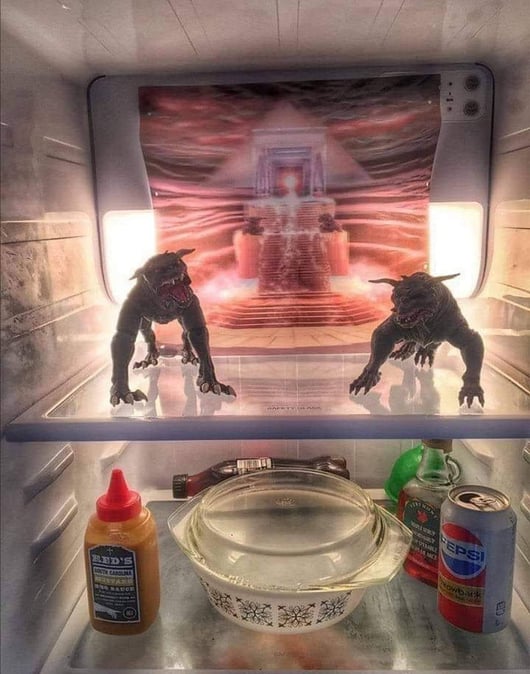 zuul-in-fridge