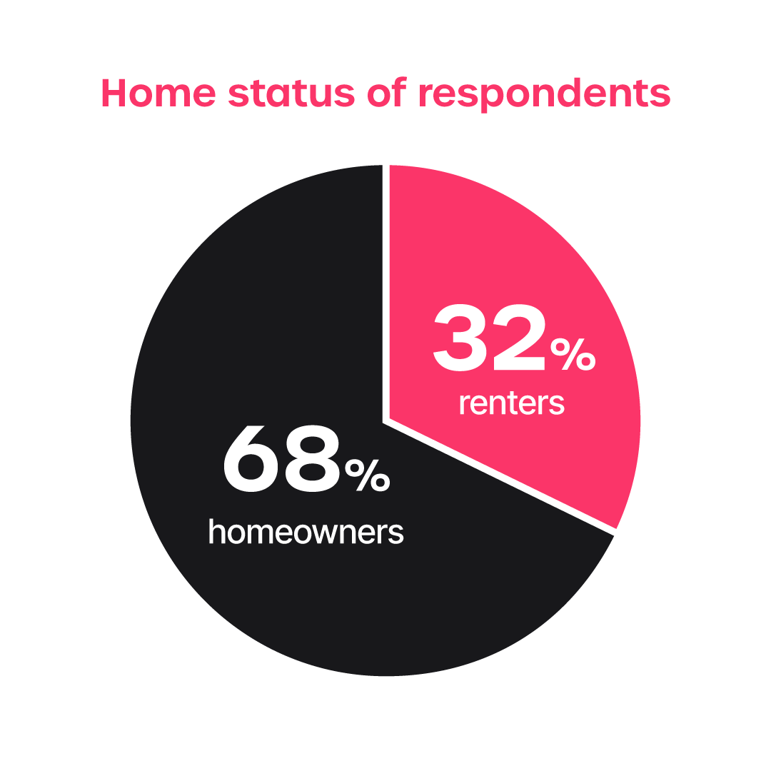 Returniture data - Home status of respondents